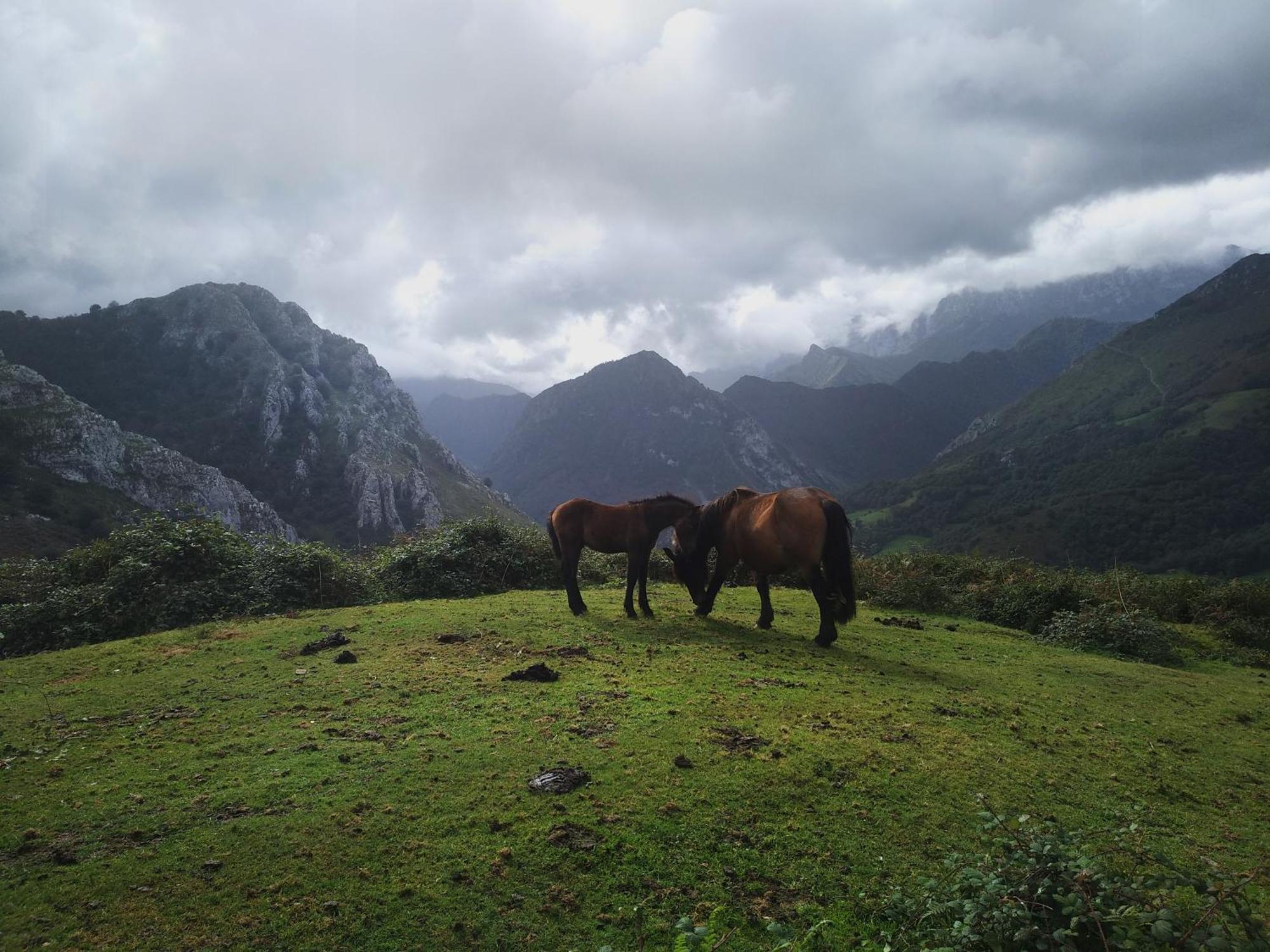 Belenos Alojamientos Turisticos Niembro Εξωτερικό φωτογραφία